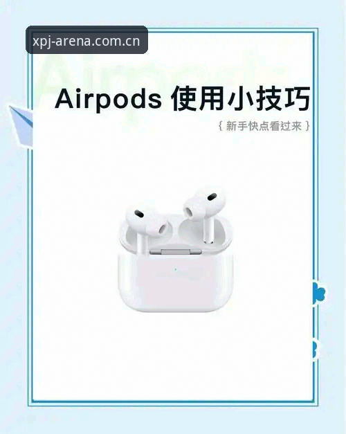 新莆京平台怎么样 新莆京平台怎么样?2026版本最新动态与新手完整体验指南